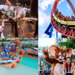 Amusement Park vs Theme Park vs Water Park