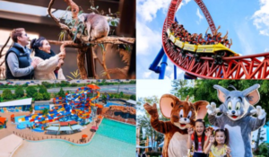 Amusement Park vs Theme Park vs Water Park